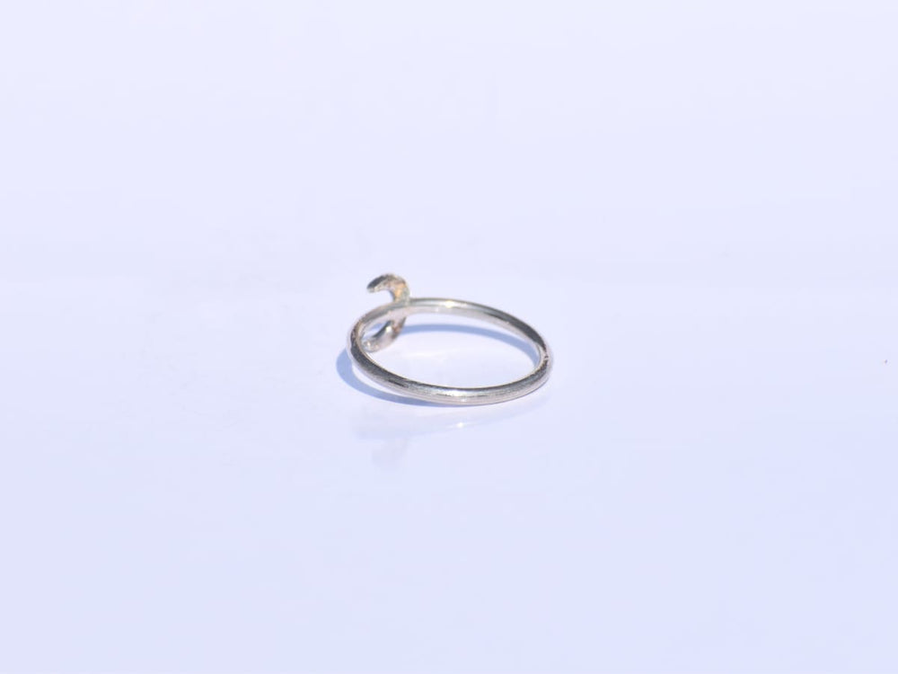 Crescent Moon Ring – NETE.IN